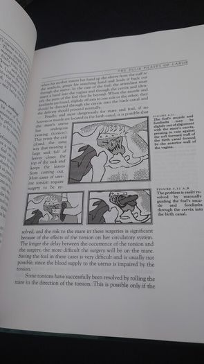 The Complete Book of Foaling : An Illustrated Guide for the Foaling Attendant