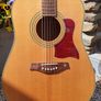 Tanglewood TW15 Dreadnought Image 2