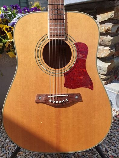 Tanglewood TW15 Dreadnought