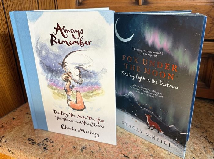 BRWND NEW - Childrens hardback books (2)