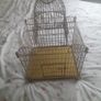 Large gold River island metal bird cage / decorative cage Image 2
