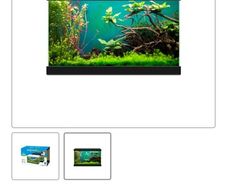 fish tank