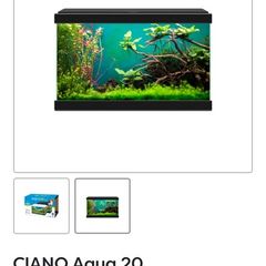 fish tank
