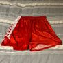 GAA Shorts - Bourke Sports Image 3