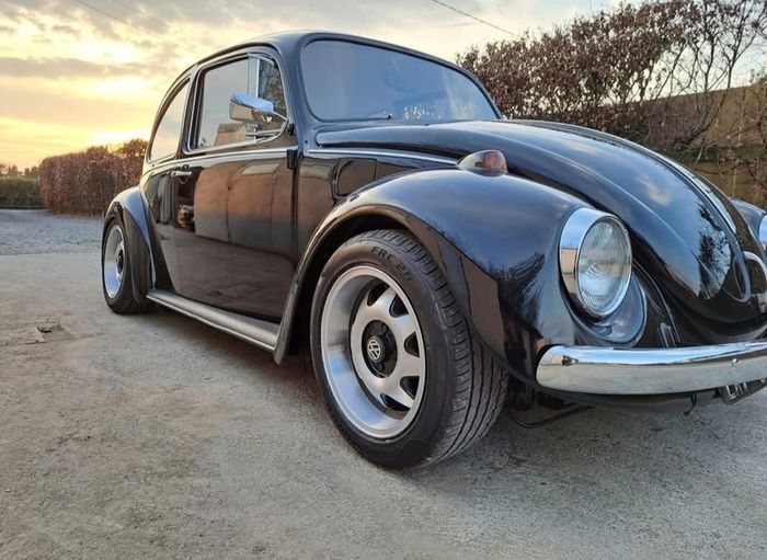 vw beetle