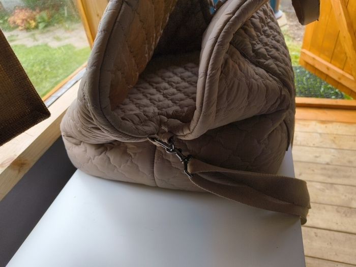 Dog Carrier