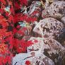 Fairy Art / Painting Magical Fairies & Their World/in Acrylic/ David Adams/ 2009/1st edition Image 3