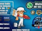 Skilled Painters & Decorators Dublin Quick terms Image 3