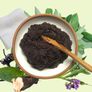 Comfrey Roots, Crowns & Plants - Watch Video Image 7