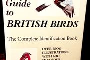 1952. Collins Pocket Guide To British Birds.
