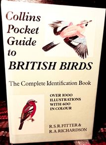 1952. Collins Pocket Guide To British Birds.