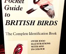 1952. Collins Pocket Guide To British Birds.