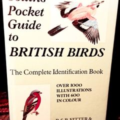 1952. Collins Pocket Guide To British Birds.