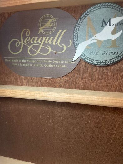 Seagull 12-String Acoustic Guitar