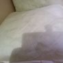 Pillow Image 2