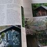 The Garden Decorating Book /Tessa Evelegh/ 1999 Image 9