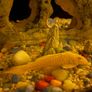aquarium tank Image 3