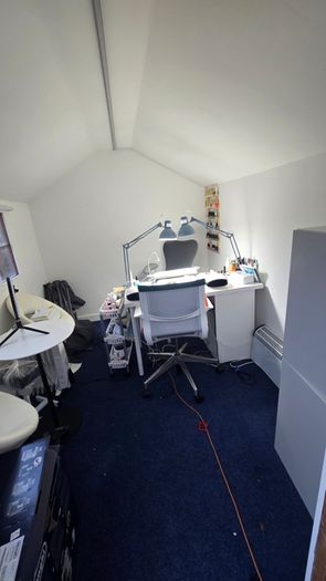 Shed insulated carpet courtains and more . used as nail salon before. Buyer must dismantle and collect