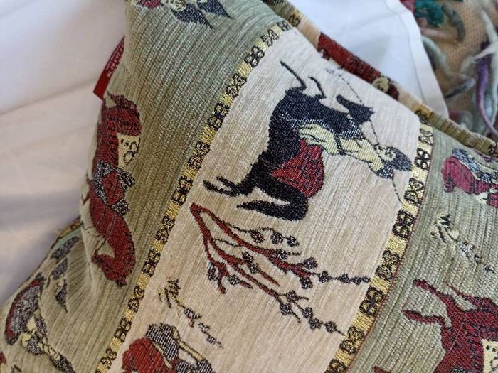 Cushion
