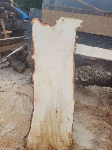 Hardwood timber