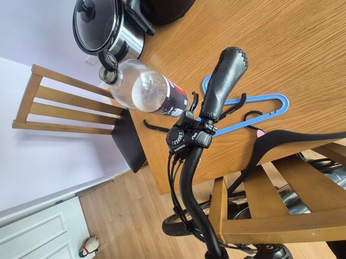 pedal assist