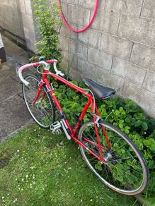 Reynolds 501