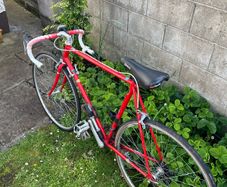 Reynolds 501