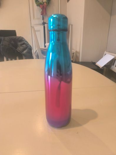 Stainless Steel Water Bottle