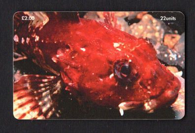 1999 Isle of Man UK2/ 22 units Scorpion Fish (Siemens - S35 (Module 35)) Phone Card