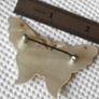 Mother of pearl brooch Image 4