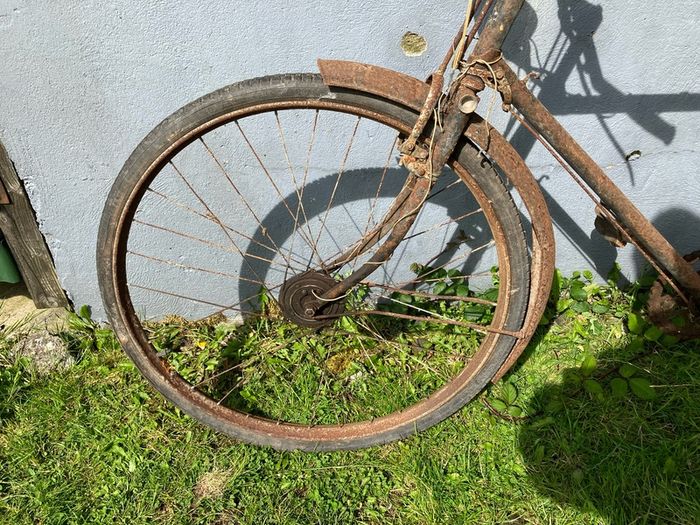 Vintage gents Raleigh