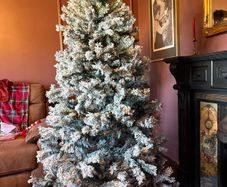 snowy Christmas tree