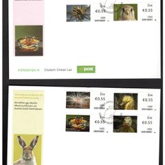 2012 Ireland SOAR Irish Life and Marine Life (Phase III) An Post First Day Cover (FDC).