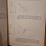 Hand and Foot Reflexology: The Unique Self-health Approach to Wellness (Paperback) Image 10