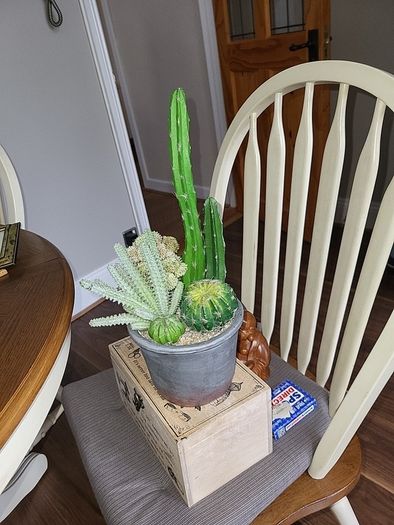 Cactus artificial
