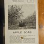 Vintage Department Of Agricultural Pamplets,and Leaflets X 13. In Good Condition.  See Photos For Same. Image 8