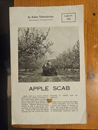 Vintage Department Of Agricultural Pamplets,and Leaflets X 13. In Good Condition.  See Photos For Same.