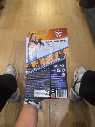 WWE Rob van Dam (RVD) action figure from 2014.