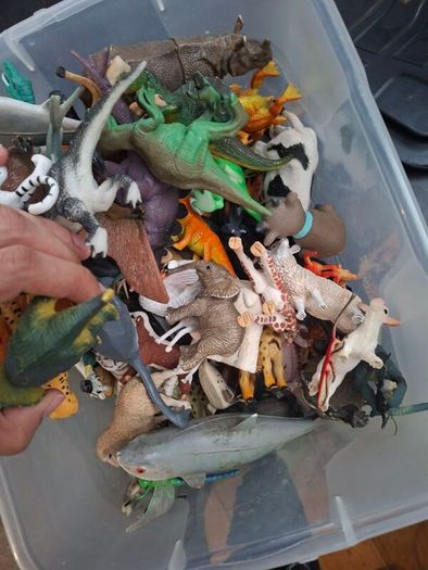 Bulk of animals