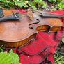 Violin Image 2