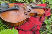 Violin