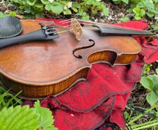 Violin