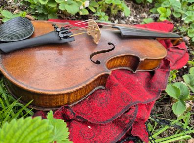Violin