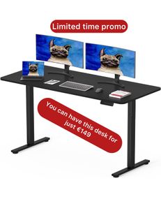 120 x 60cm Electric Standing Desk ONE PIECE DESKTOP Height Adjustable Desk Sit Stand