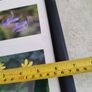 Framed Still Life Photo Of Irish Wildflowers. Image 7
