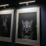 2 x Black & White Wall Art plus Picture Lights Image 3