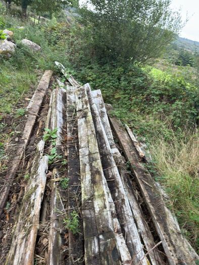 Greenheart wood hardwood beam/timber