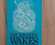 Vintage Wyndham book