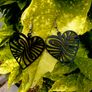 Desing Earring Image 3