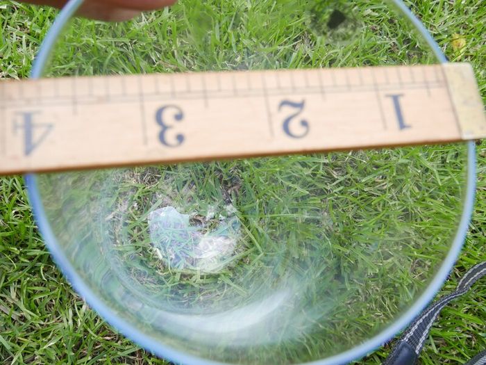 Vintage Handmade Clear Circular Glass Display Cloche Bell Dome With Black Base (dimensions visible in the photos) 50 each